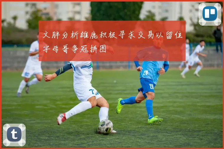 文胖分析雄鹿积极寻求交易以留住字母哥争冠拼图